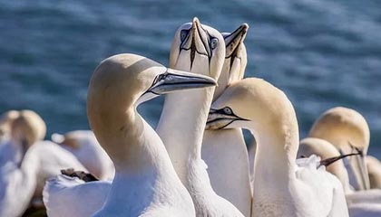 余姚高价上海医保提取2025的最新政策(2025年余姚上海医保怎么提取现金分享)