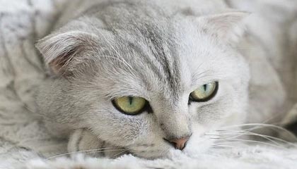 余姚24小时高价回收医保卡的最新政策(2025年余姚24小时高价回收医保卡电话分享)