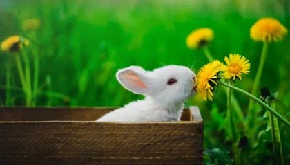 余姚高价上海医保提取2025的最新政策(2025年余姚上海医保怎么提取现金分享)